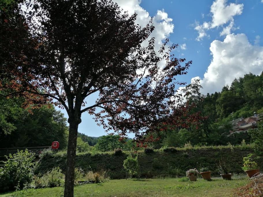 Appartement Entier Dans Un Ecrin De Verdure Thann Exteriér fotografie